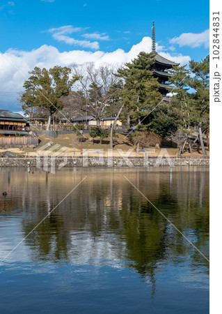 《奈良県》興福寺五重塔を望む昼の猿沢池 《奈良県》興福寺五重塔を望む昼の猿沢池 102844831