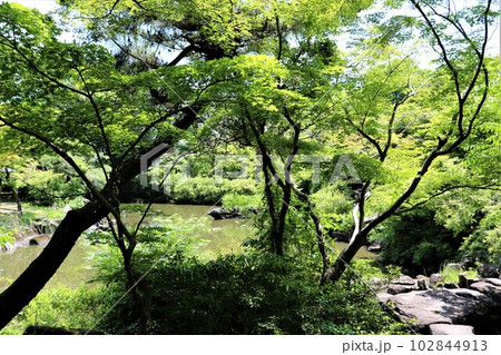 さわやかな新緑と穏やかな水面　春の日の公園 102844913