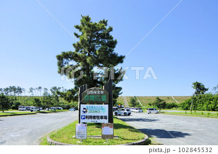 白羽保全林間広場 白羽保全林間広場 102845532