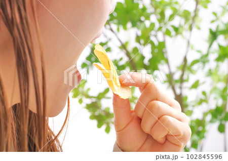 ポテトチップスを食べる女性 ポテトチップスを食べる女性 102845596