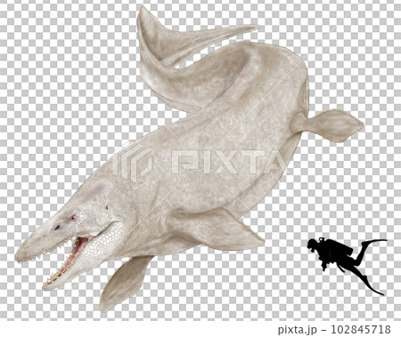 タラソティタン モササウルスを捕食するモサモササウルス タラソティタン モササウルスを捕食するモサモササウルス 102845718