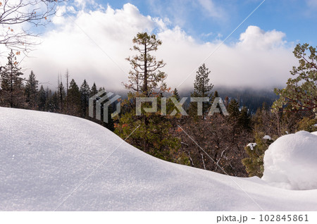 Hiking trail to Mariposa 102845861