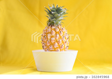 pineapple slice on bowl for food fruit ripe pineapple on yellow background, fresh pineapple tropical fruits summer pineapple slice on bowl for food fruit ripe pineapple on yellow background, fresh pineapple tropical fruits summer 102845968