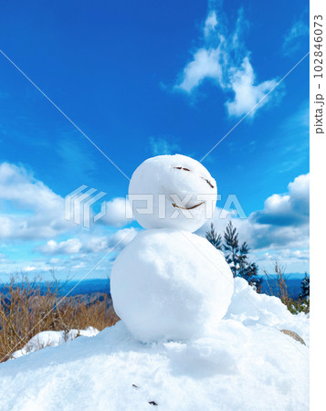 残雪の雪だるま 残雪の雪だるま 102846073