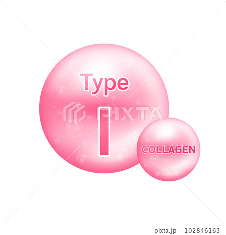 Collagen type I. The five most common types of collagen protein. Main protein created connective tissues, articular cartilage. Medical and science concept. Vector EPS10. 102846163