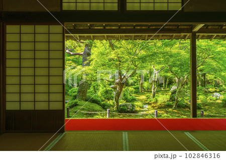 圓光寺　書院に座して眺める十牛之庭　新緑の季節 102846316