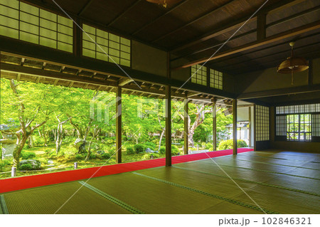 圓光寺 書院に座して眺める十牛之庭 新緑の季節 圓光寺 書院に座して眺める十牛之庭 新緑の季節 102846321