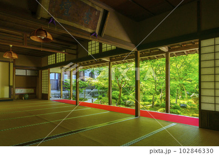 圓光寺 書院に座して眺める十牛之庭 新緑の季節 圓光寺 書院に座して眺める十牛之庭 新緑の季節 102846330