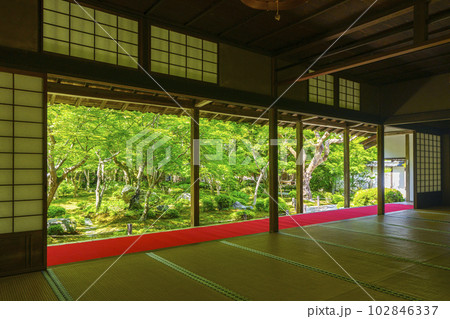 圓光寺 書院に座して眺める十牛之庭 新緑の季節 圓光寺 書院に座して眺める十牛之庭 新緑の季節 102846337