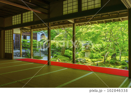 圓光寺 書院に座して眺める十牛之庭 新緑の季節 圓光寺 書院に座して眺める十牛之庭 新緑の季節 102846338