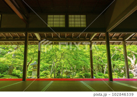 圓光寺 書院に座して眺める十牛之庭 新緑の季節 圓光寺 書院に座して眺める十牛之庭 新緑の季節 102846339