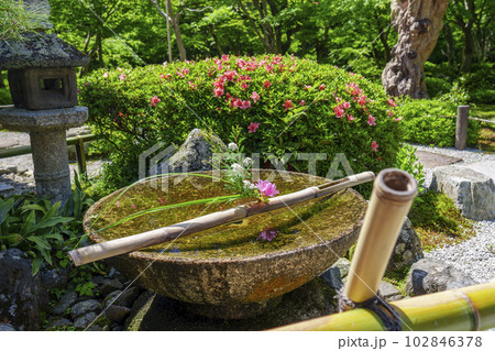 圓光寺　響き渡る澄んだ音色の水琴窟　新緑の季節 102846378