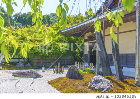 圓光寺 瑞雲閣 奔龍庭 新緑の季節 圓光寺 瑞雲閣 奔龍庭 新緑の季節 102846388