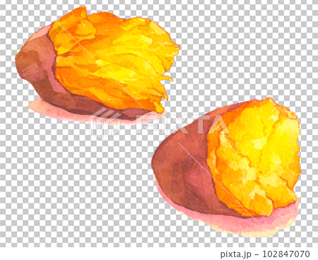 水彩で描かれた黄金色ねっとり芋とほくほく芋の焼き芋イラスト 102847070