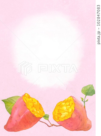 黄金色のさつまイモの水彩背景イラスト 黄金色のさつまイモの水彩背景イラスト 102847083