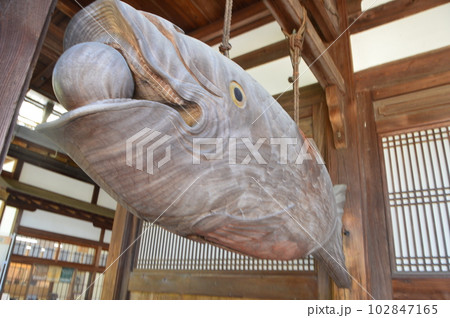 魚梆・開梆・魚板(黄檗宗大本山・萬福寺/京都府宇治市五ケ庄三番割34) 魚梆・開梆・魚板(黄檗宗大本山・萬福寺/京都府宇治市五ケ庄三番割34) 102847165