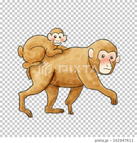 Illustration of a monkey parent and child walking with a watercolor touch 102847611