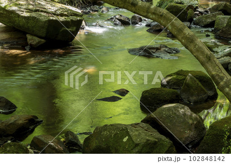 涼しい夏の渓流の写真素材 [102848142] - PIXTA