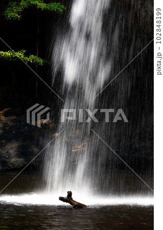Long speed shutter technique of splashing waterfall drop on pond with dark scene. Long speed shutter technique of splashing waterfall drop on pond with dark scene. 102848199