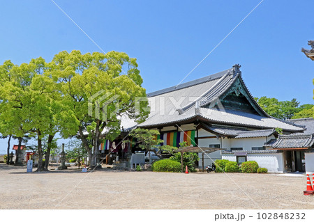 大樹寺（岡崎） 102848232
