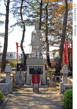 大樹寺（岡崎） 102848233