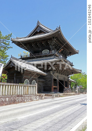 大樹寺（岡崎） 102848246