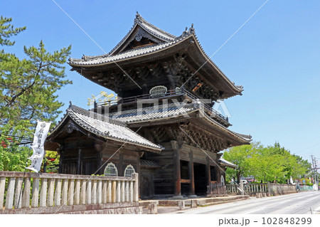 大樹寺（岡崎） 102848299