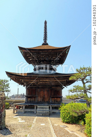 大樹寺(岡崎) 大樹寺(岡崎) 102848301