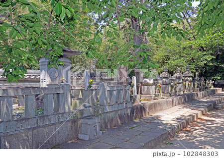 大樹寺(岡崎) 大樹寺(岡崎) 102848303