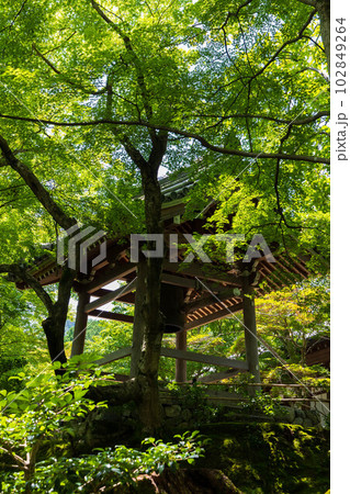 京都嵯峨嵐山の夏　緑豊かな常寂光寺　鐘楼 102849264