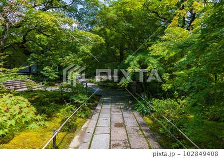 京都嵯峨嵐山の夏　緑豊かな常寂光寺 102849408