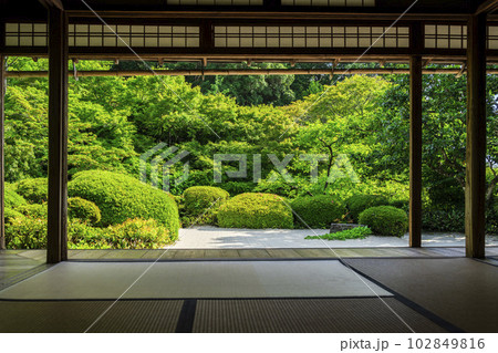 初夏の詩仙堂　丈山寺の風景　新緑の庭園　京都府京都市 102849816