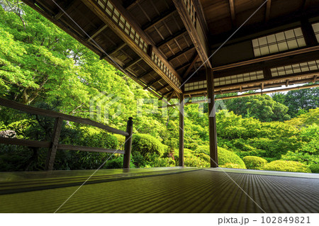 初夏の詩仙堂 丈山寺の風景 新緑の庭園 京都府京都市 初夏の詩仙堂 丈山寺の風景 新緑の庭園 京都府京都市 102849821