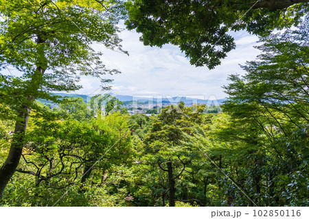 京都嵯峨嵐山の夏　緑豊かな常寂光寺 102850116
