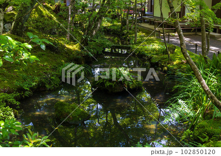 京都嵯峨嵐山の夏 緑豊かな常寂光寺 京都嵯峨嵐山の夏 緑豊かな常寂光寺 102850120