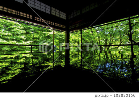 新緑の瑠璃光院 青もみじと書院の風景 京都府京都市 新緑の瑠璃光院 青もみじと書院の風景 京都府京都市 102850156