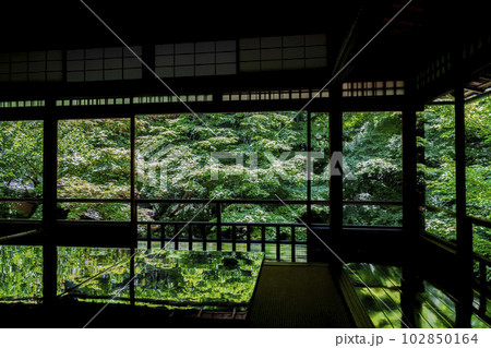 新緑の瑠璃光院 青もみじと書院の風景 京都府京都市 新緑の瑠璃光院 青もみじと書院の風景 京都府京都市 102850164