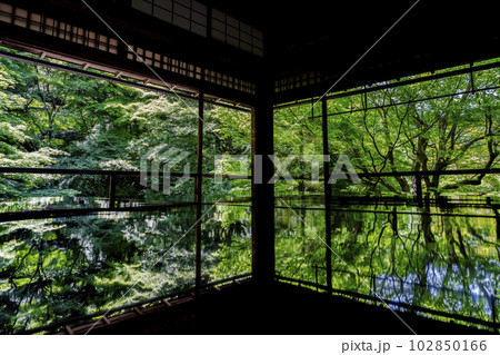 新緑の瑠璃光院　青もみじと書院の風景　京都府京都市 102850166