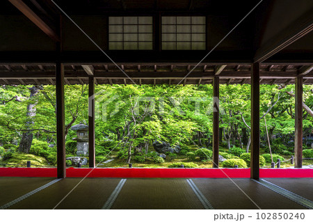 新緑の圓光寺 書院から見た庭園の風景 京都府京都市 新緑の圓光寺 書院から見た庭園の風景 京都府京都市 102850240