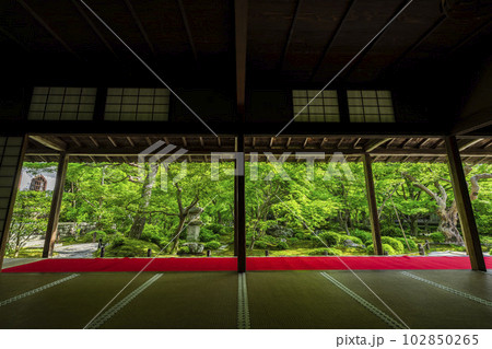 新緑の圓光寺　書院から見た庭園の風景　京都府京都市 102850265