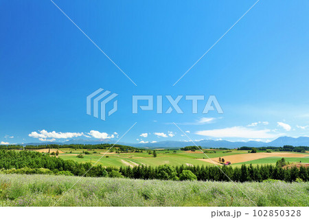 北海道 夏の青空と美瑛の風景 北海道 夏の青空と美瑛の風景 102850328