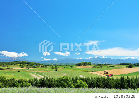 北海道 夏の青空と美瑛の風景 北海道 夏の青空と美瑛の風景 102850329
