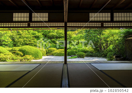初夏の詩仙堂丈山寺 新緑の庭園 京都府京都市 初夏の詩仙堂丈山寺 新緑の庭園 京都府京都市 102850542