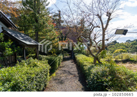 京都 舞鶴 多禰寺(多祢寺) 京都 舞鶴 多禰寺(多祢寺) 102850665