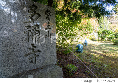 京都 舞鶴 多禰寺(多祢寺) 京都 舞鶴 多禰寺(多祢寺) 102850674
