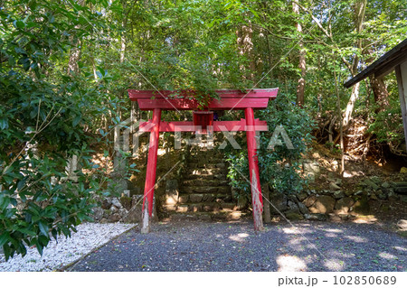 京都　舞鶴　多禰寺（多祢寺） 102850689