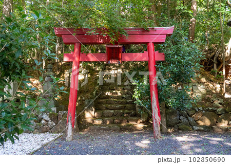 京都　舞鶴　多禰寺（多祢寺） 102850690