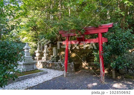 京都　舞鶴　多禰寺（多祢寺） 102850692