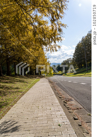 京都　舞鶴　多禰寺（多祢寺） 102850719