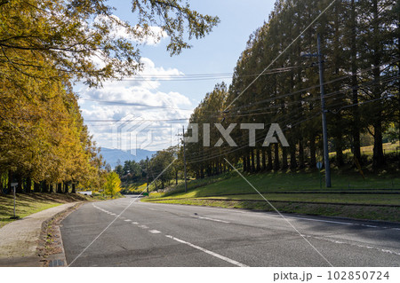 京都　舞鶴　多禰寺（多祢寺） 102850724